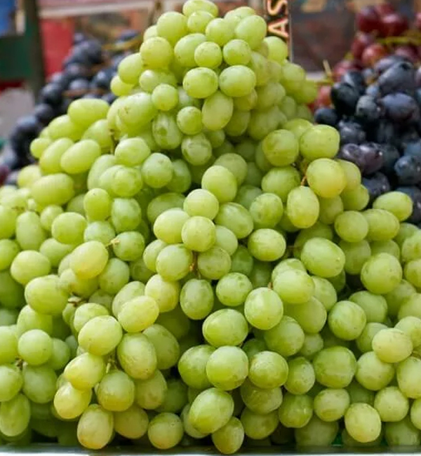 Grapes