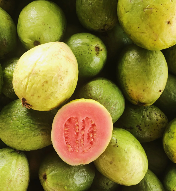 Guava